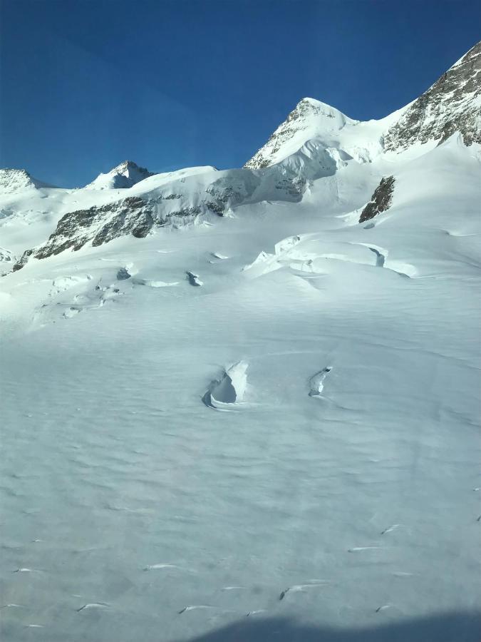 Chalet Burglauenen Grindelwald Kültér fotó